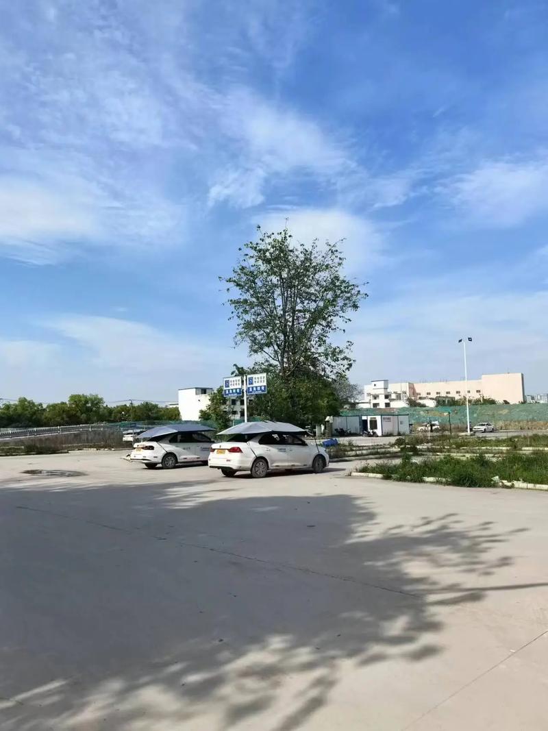 高效学车新体验 理论速培稳过，一对一练车快速拿证