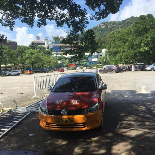 速培学车 我与驾校教练的十天淬炼之战