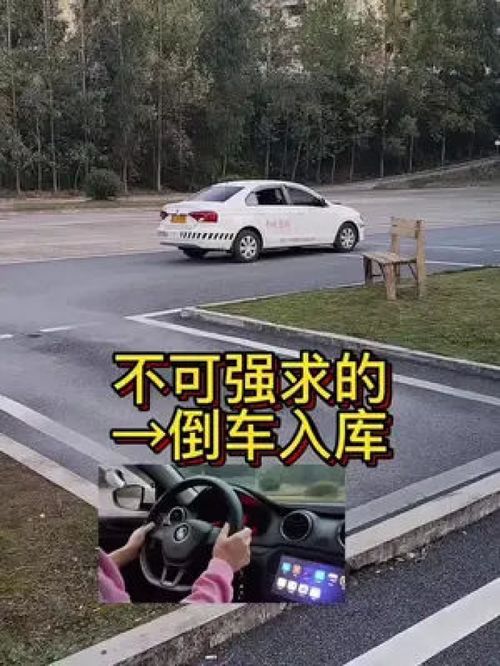 关注教练学车不迷路 手把手教学 驾培胡兴教练